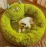 Kennel Winter Warm Dog Bed Small and Medium-sized Dog Teddy Den Winter Cat Bed Four Seasons Universal Dog Sleeping Mat Pet Suppl